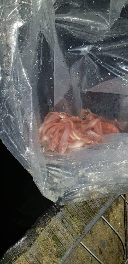 Foto Piscicultura Vale do Mantiqueira